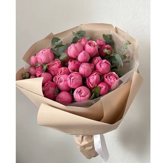 ვარდისფერი ჯუჯა ვარდები - (9)