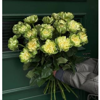 მწვანე სიჩუმე (L)