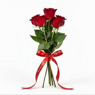 წითელი ჰოლანდიური ვარდი ლენტით(5)