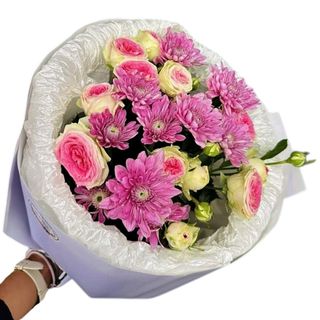 პირველი ემოცია