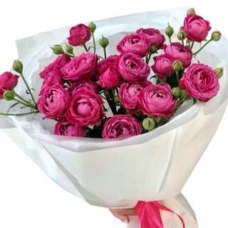 პიონისებური სპრეი ვარდი (5)