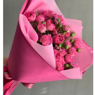 პიონისებური სპრეი ვარდი (10)