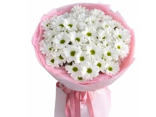  თეთრი გვირილები (10)