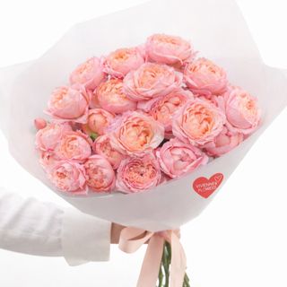 ღია ვარდისფერი, პიონისებური ვარდი (პრემიუმ ხარისხი) (5)