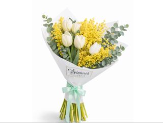 სითბოს ჰარმონია (თეთრი ტიტები მიმოზებით)