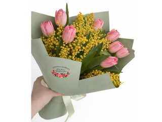 ვარდისფერი ტიტები, მიმოზებით (9)