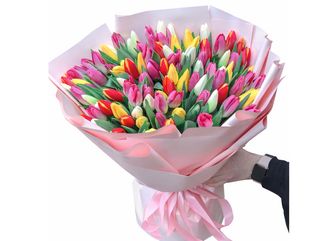 ფერადი ტიტების მიქსი (50)