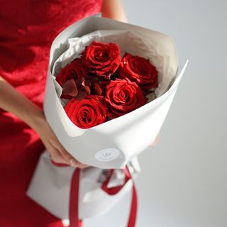 5 Premium Explorer Red Rose