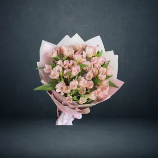 Alstromeries Pink