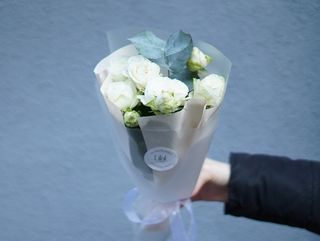 მინი სპრეი