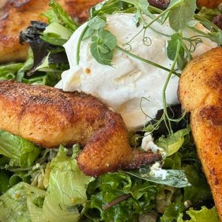 ქათმის სალათი გაწურული მაწვნით