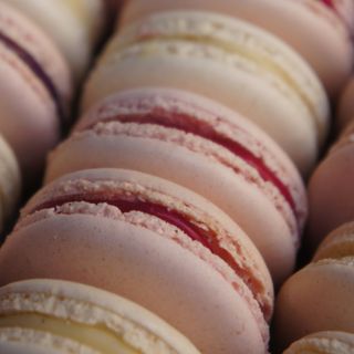 Raspberry macaron