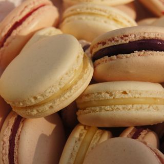 Vanilla macaron