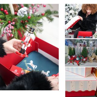 კომპლიმენტი ზამთარში COMBO #3