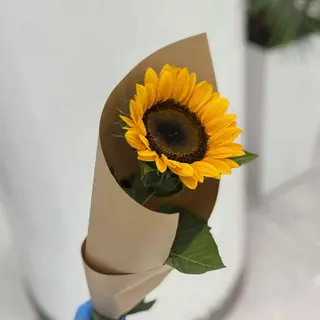 Mono Sunflower 