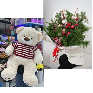 კომპლიმენტი ზამთარში  COMBO  BEAR