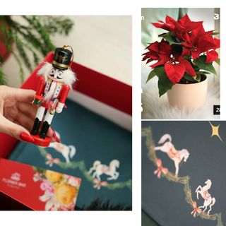 კომპლიმენტი ზამთარში  COMBO #4