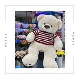 XXL Teddy  Bear