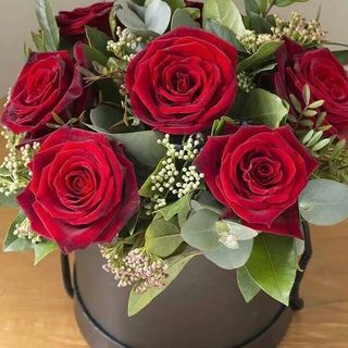 წითელი ვარდი დეკორატიულ სიმწვანესთან ერთად