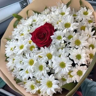 ჰოლანდიური ქრიზანთემები და ერთი წითელი ვარდი