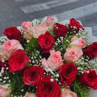 წითელი ვარდების და ჯუმელიას მიქსი (20ც)