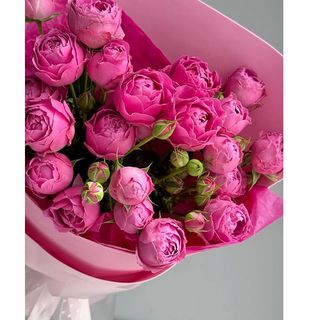 სპრეი ვარდები