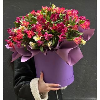 კომპოზიცია ასტრომერიებით