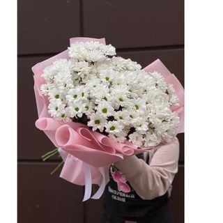 ჰოლანდიური ქრიზანთემები