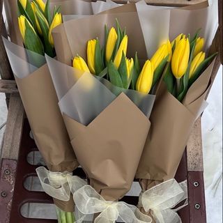 ტიტები (10ც)