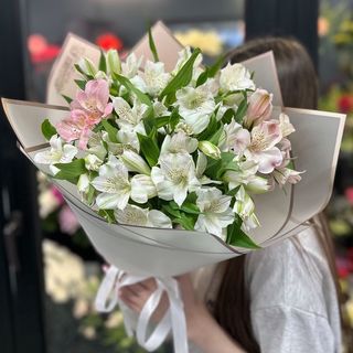 ასტრომერიები