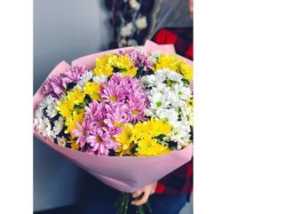 ფერადი ქრიზანთემა