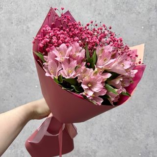 გიფსოფილები და ასტრომერიები