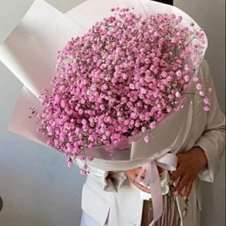 ვარდისფერი გიფსოფილას თაიგული