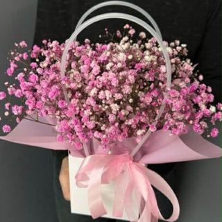 ჩანთა გიფსოფილებით