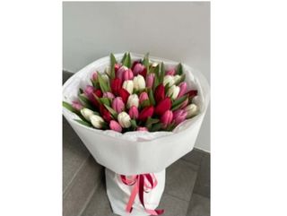 ფერადი ტიტები(50ც)