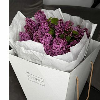 იასამნები