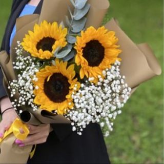 მზესუმზირები და გიფსოფილები
