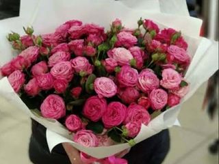 სპრეი ვარდები