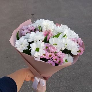 ფერადი ქრიზანთემები