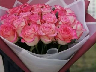 ჯუმელიების თაიგული(20ც)