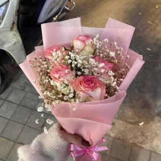 ჯუმელიები და გიფსოფილები
