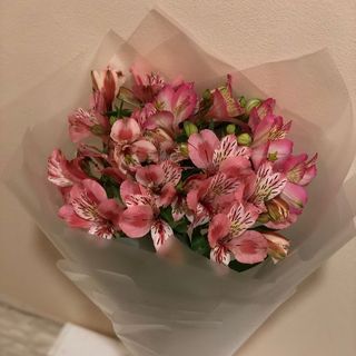 ასტრომერიების თაიგული