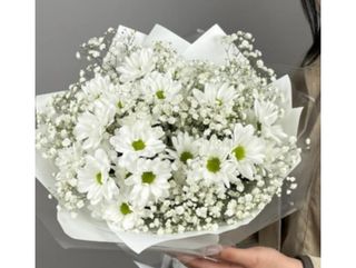 ქრიზანთემები