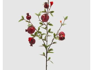 დეკორატიული ბროწეულის ტოტი