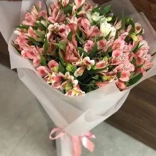 ასტრომერიების თაიგული