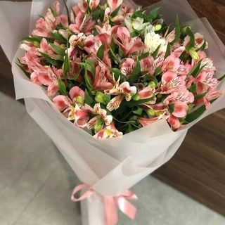 ასტრომერიების თაიგული