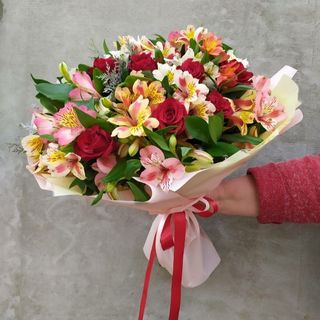 ასტრომერიები და წითელი ვარდი