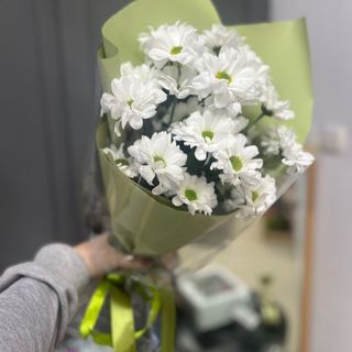 ქრიზანთემები (2ტოტი)