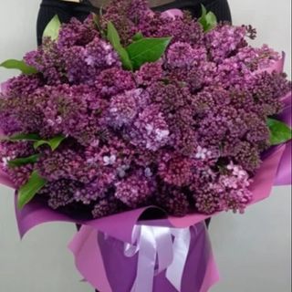 იასამნების კომპოზიცია ბოქსში