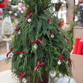 საახალწლო კომპოზიცია 1